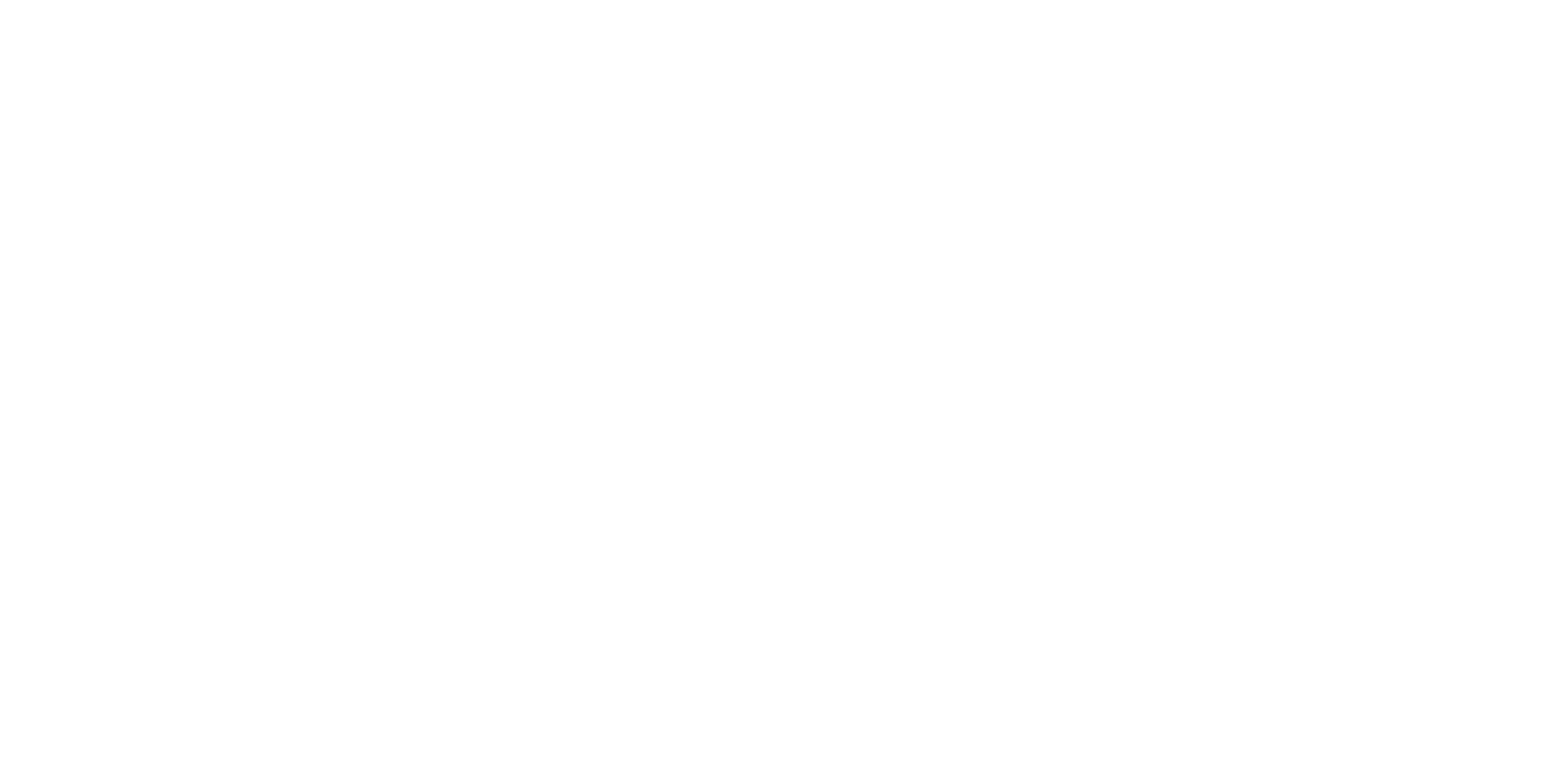 Dehler Security Logo